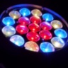 Ultra WASH R300 (LED Wash-Beam 19x15W Zoom Robin300)